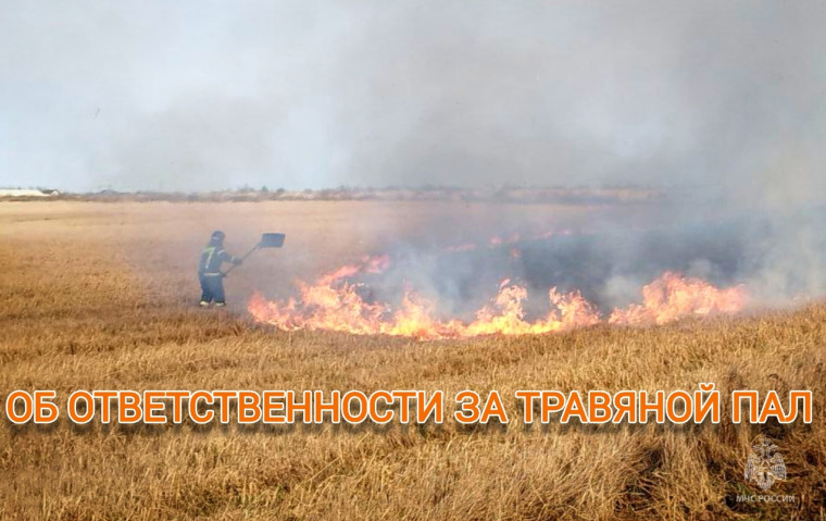 Сжигание сухой травы является нарушением требований пожарной безопасности. Сжигание сухой травы является нарушением требований пожарной безопасности.